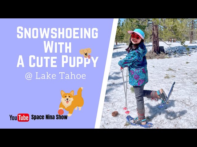 Winter Wonderland: Snowshoe Adventure With A Cute Puppy In Lake Tahoe | Space Nina Show