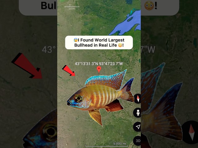 🐟I Found A World Largest Bullhead On Google Earth & Google Maps 😬! #shorts #findmysterioussecrets