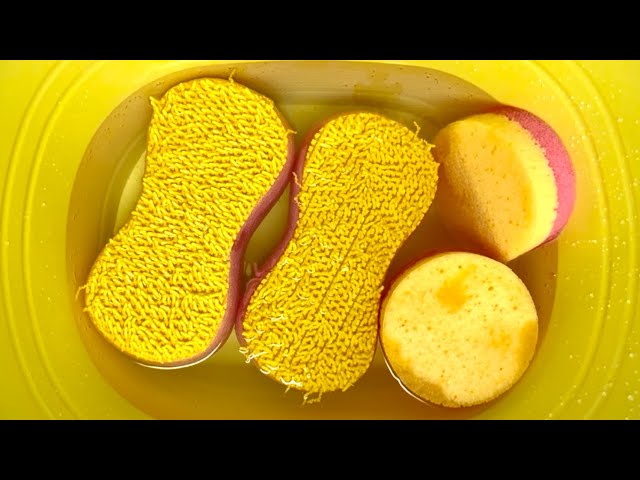 400 SUBS App!🥳😍🎉 💛💛💛💛NEW Sponges Rinse.Just Clear Water. #satisfying #asmrwatersounds #sponge