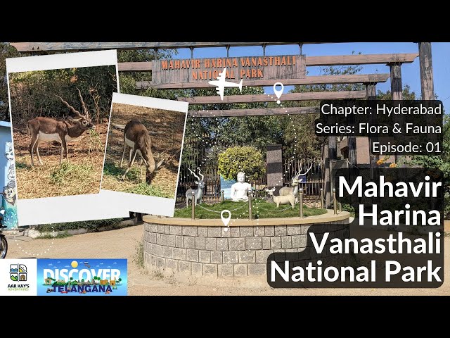 Hyd-FnF-E1 | Mahavir Harina Vanasthali National Park 1 | Discover Telangana (Eng. Comm.)