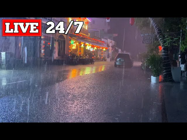 Night Storm Rain at Bustling Restaurant - Heavy Rain & Strong Winds with Thunder Sounds for Sleeping