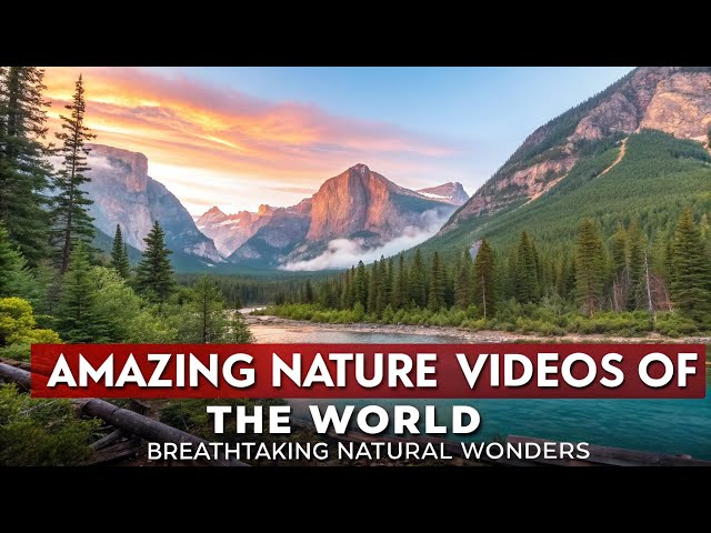 Amazing Nature Videos of the World | Breathtaking Natural Wonders"