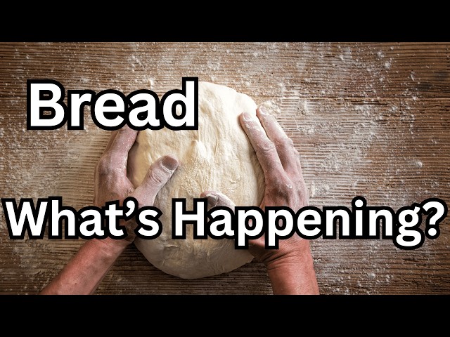 Real Story Behind Your Bread #healthyeating #healthyfood #bread #breadrecipe #snacks