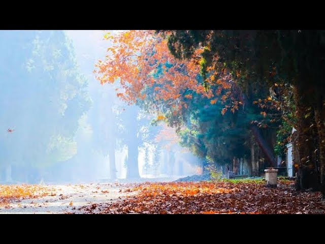 Why Mimla bagh(Garden)is the best Destination in Afghanistan #afghanistan  #nangarhar  #youtube