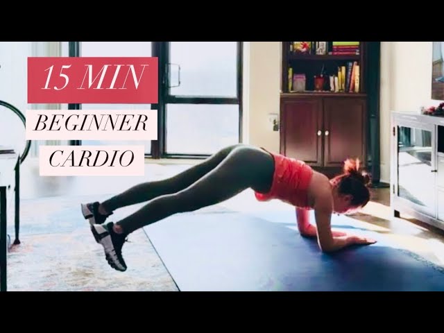 15 MIN BEGINNER CARDIO Workout (At Home No Equipment)