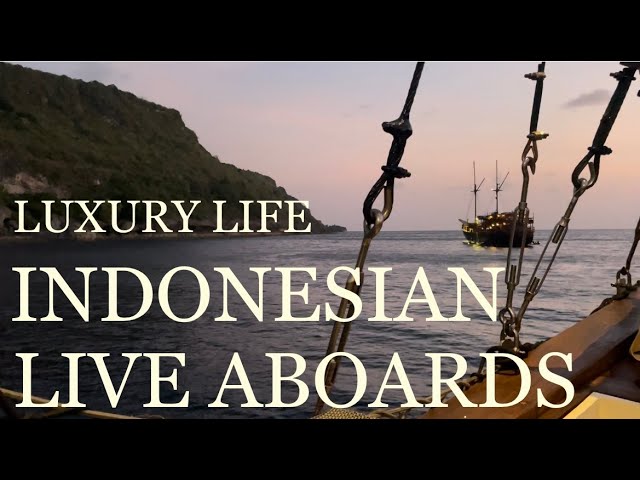 Luxury Liveaboard Diving In Indonesia: Is It Worth It? | Travel & Explore Now