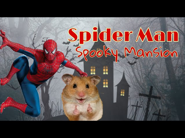 Spider-Man helps Hamster to get home! DIY Cardboard Hamster Maze!🐹