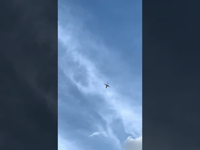 Airplane in air with bird flying