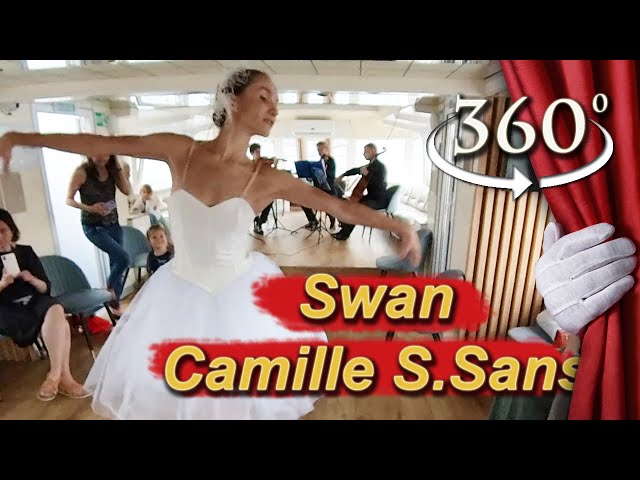 Ballerina. Swan - Camille Saint Sans