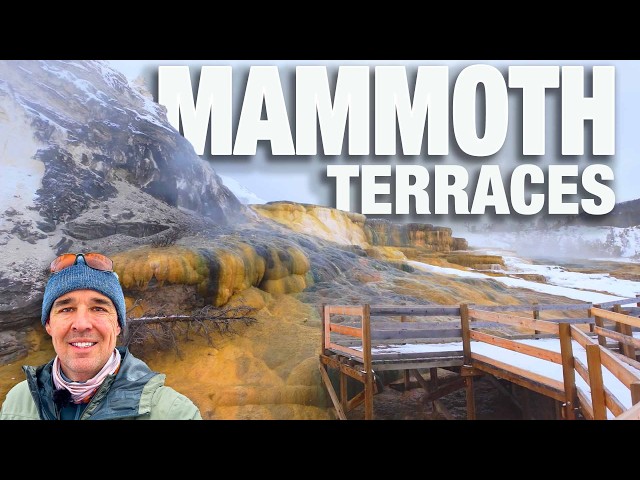 Virtual Walk on Mammoth Hot Springs Terraces in Yellowstone - 4k Winter City Walks