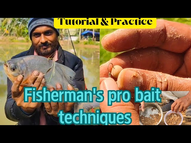 Instantly catch Roopchandi (Pacu) fish with this bait | Pro bait preparation technique