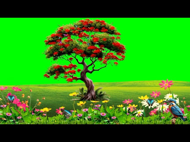 ﻿Tree green screen video background  | butterfly green screen video | background video green screen