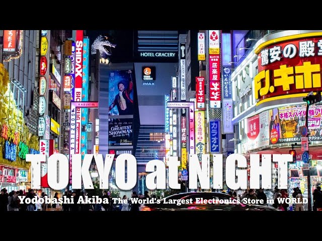 Tokyo Nights + The World's Largest Electronic Shopping Center & Hello Kitty Store