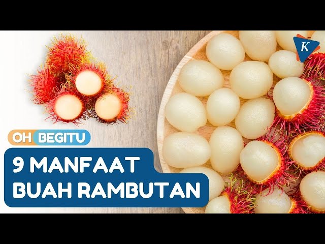 What are the Benefits of Rambutan for Body Health?