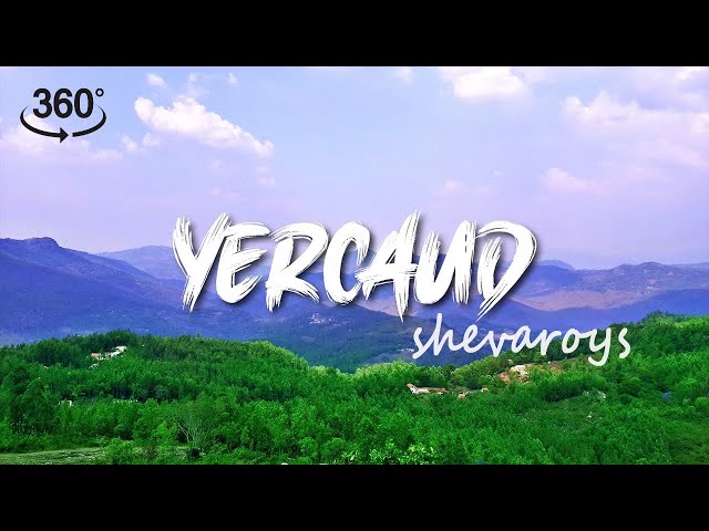 Yercaud Unseen: A 360° Exploration of Shevaroy Beauty #yercaud #insta360 #yercaudhillstation #salem