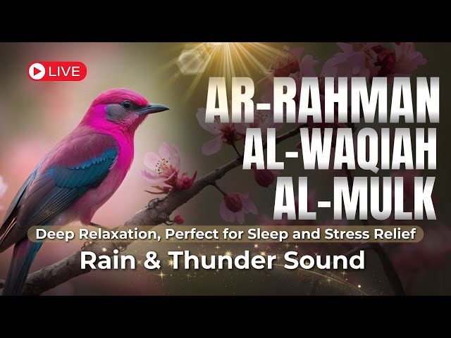 Surah Al Mulk سورة الملك  Ar-Rahman سورة الرحمن | This Stunning Voice Will TOUCH Your HEART