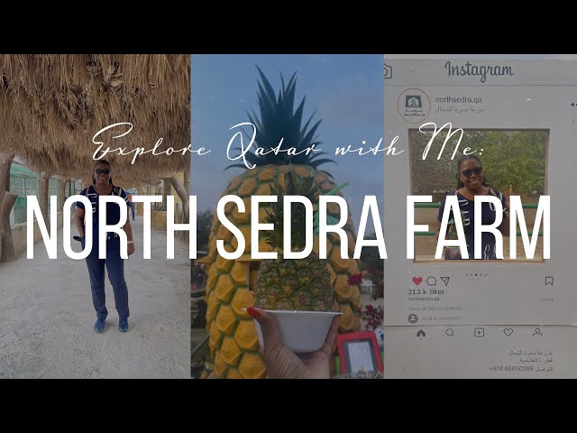 Explore Qatar with Me | Hidden Gem: Exploring the Beauty of North Sedra Farm