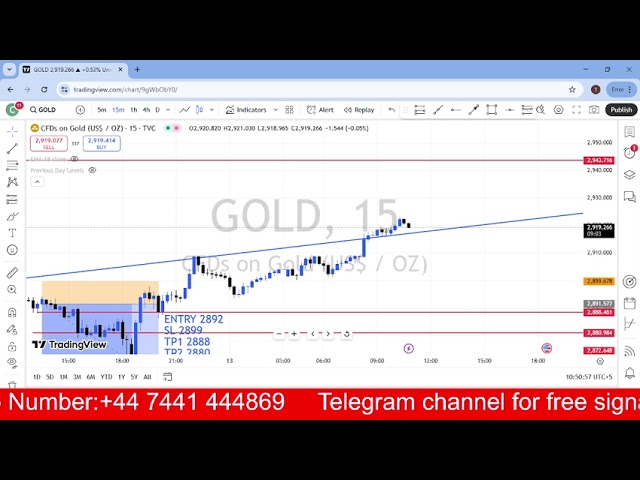 GOLD DAILY FORCAST UPDATE | 13 FEBRUARY 2025 | XAUUSD|