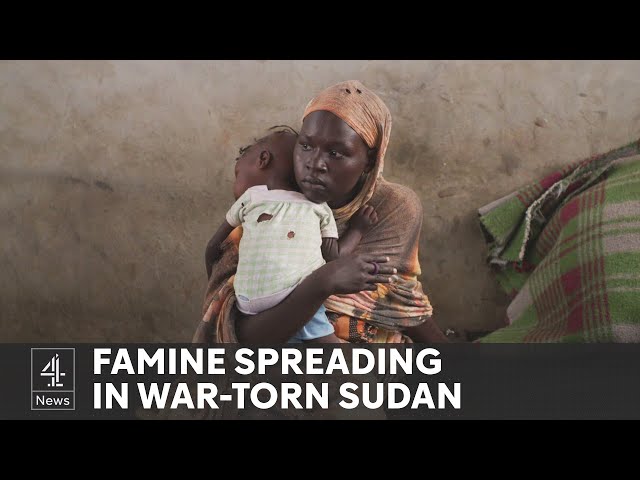 Sudan civil war causes 'quiet famine' for those fleeing fighting