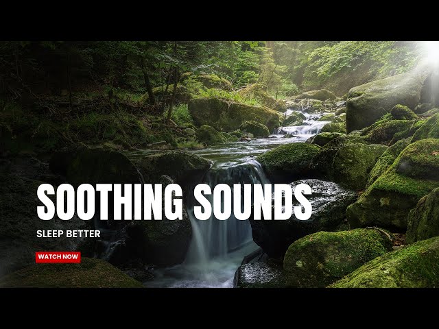 Soothing Sounds | Nature Vault Sounds | Sleep Better