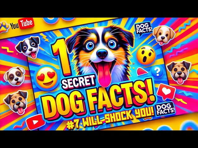 🐶 10 Secret Dog Facts You Won’t Believe! #7 Will Shock You! 🐾 #factinframe #factsdaily