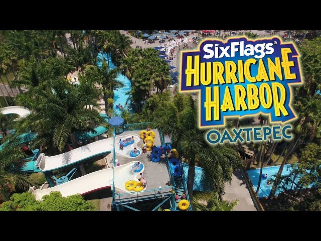 ¡Esto es lo que vivirás en Six Flags Hurricane Harbor Oaxtepec! 😎🌴🌊