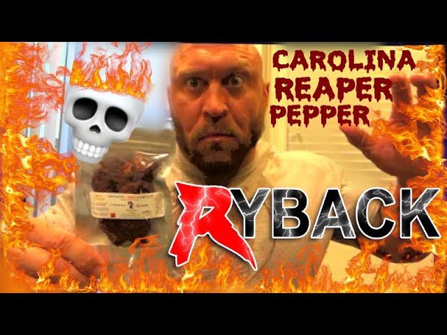 Carolina Reaper Hot Peppers Live with Ryback Hot Food Challenge