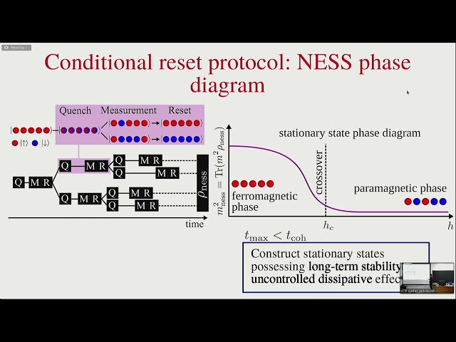 Resetting quantum systems