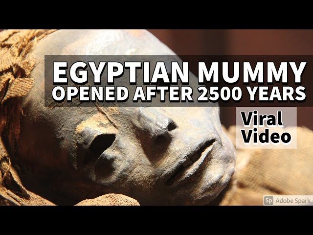 Egyptian Mummy Coffin Opened After 2500 Years | Shocking Video