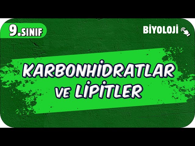 Karbonhidratlar ve Lipitler | 9.Sınıf Biyoloji #2025