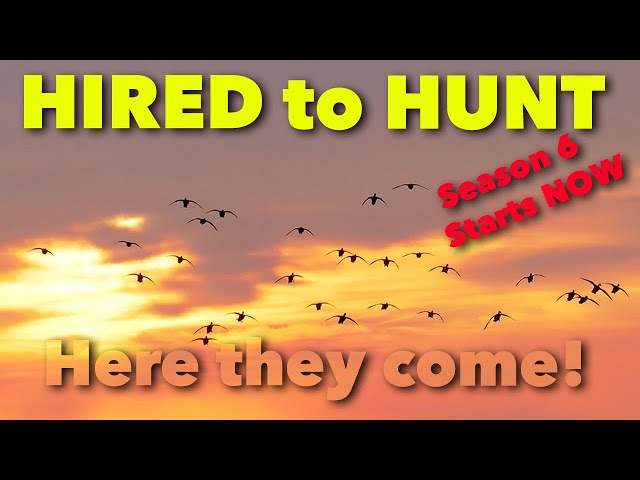 START THE ENGINES ... Claudio Ongaro's Hired to Hunt Season 6: Limits of Ducks & Geese at Ongaro's