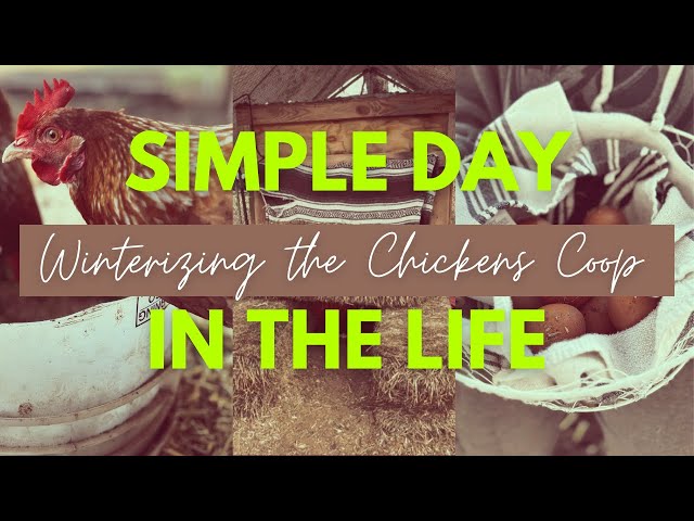 A Day in the Life | Helping My Husband Winterize the Chicken Coop