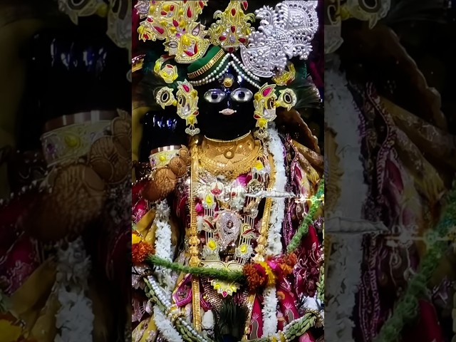 sakhi ri banke bihari se⛅🪷🫣🤗#bankebihari #vrindavandham #krishna #shortsfeed #shortsviral #viralpost