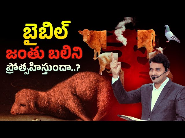 బైబిల్ లో జంతుబలిని దేవుడు ప్రోత్సహించాడా..? Did God encourage animal sacrifice in the Bible?