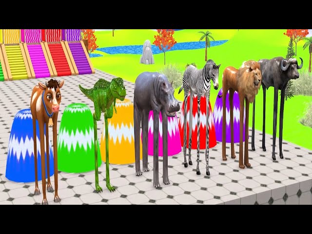 Long Slide Game With Elephant Gorilla Buffalo Hippopotamus Tiger - 3d Animal Game - Funny 3d Animals