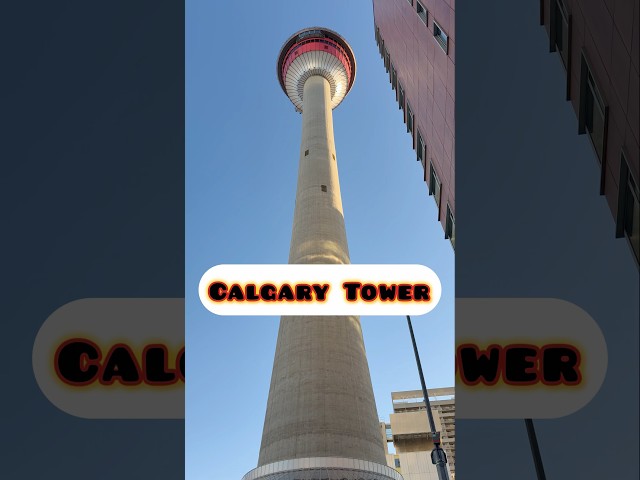 Sunset view from the Calgary Tower| #rockymountains #observationdeck #alberta #calgarydowntown