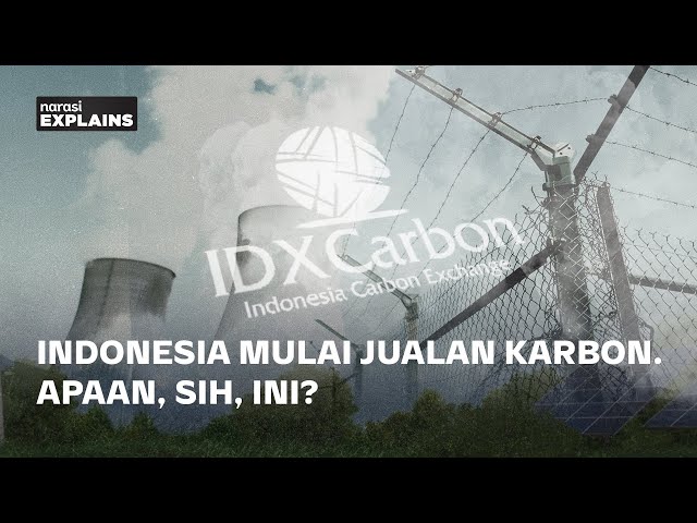 Indonesia Mulai Jualan Karbon. Apaan Sih Ini? | Narasi Explains