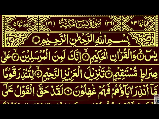 Surah Yaseen Surah Rahman || Best Qur'an Recitation Surah Mulk || Surah Yasin full Qur'an Tilawat