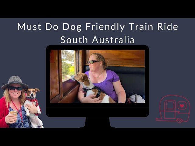 The Ultimate Dog-Friendly Train Adventure in South Australia