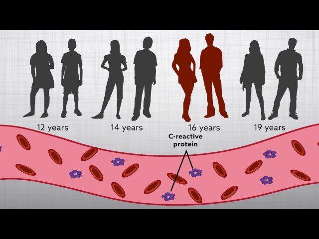 Does the immune system link childhood trauma to adult mental illness