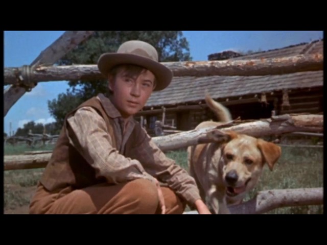 Old Yeller (1957) - Movie Review