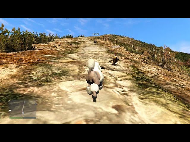 GTA 5 - A Dog Cat and Chicken climb up Mount Chiliad (Very peaceful)