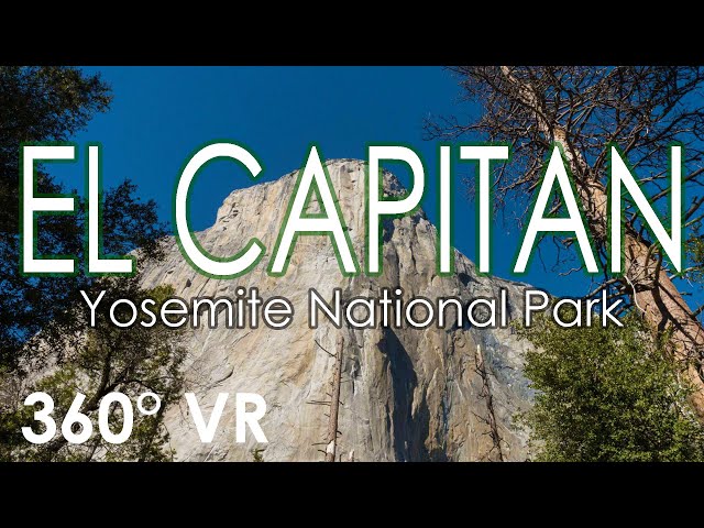 Making My Way to the base of El Capitan at Yosemite National Park, CA (360 4K VR)