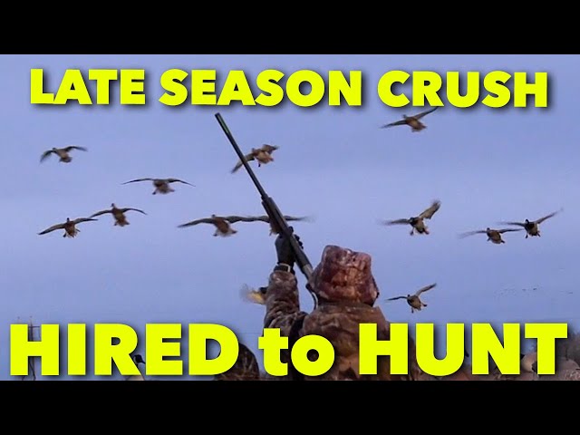 LATE SEASON CRUSH_Hired to Hunt Season 6: Hunting Limits of Ducks & Geese at Ongaro's