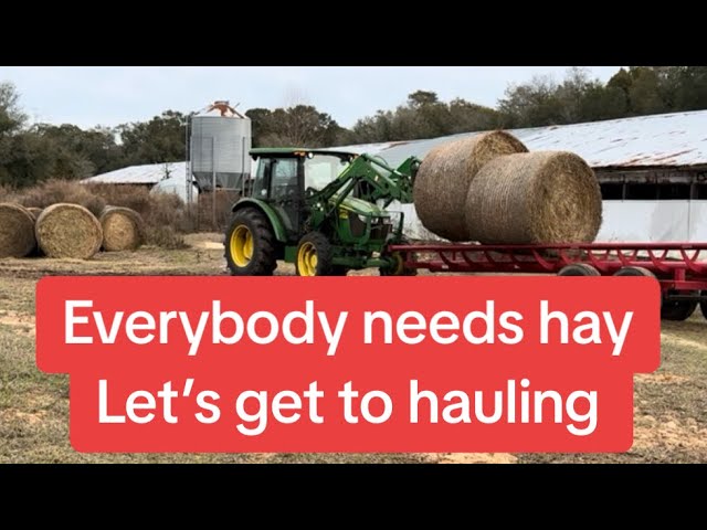 Final hay deliveries of 2023