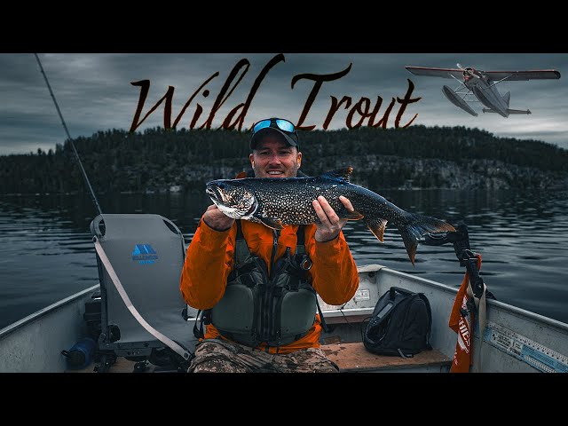 A Week In The Wild Fishing For Trout - Remote Fly In Outpost in Northern Ontario