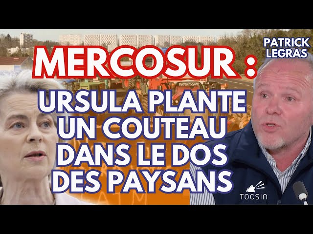 Mercosur : la souveraineté française à nouveau piétinée ! - Patrick Legras