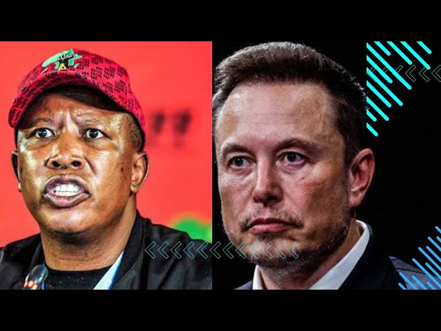 Why must I educate Elon Musk Julius Malema