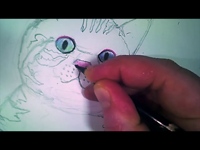 YouDraw: How To Draw a Cat With Color Pencils