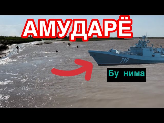 Тезкор видео АМУДАРЁ ДА НИМАЛАР БУЛЯБДИ